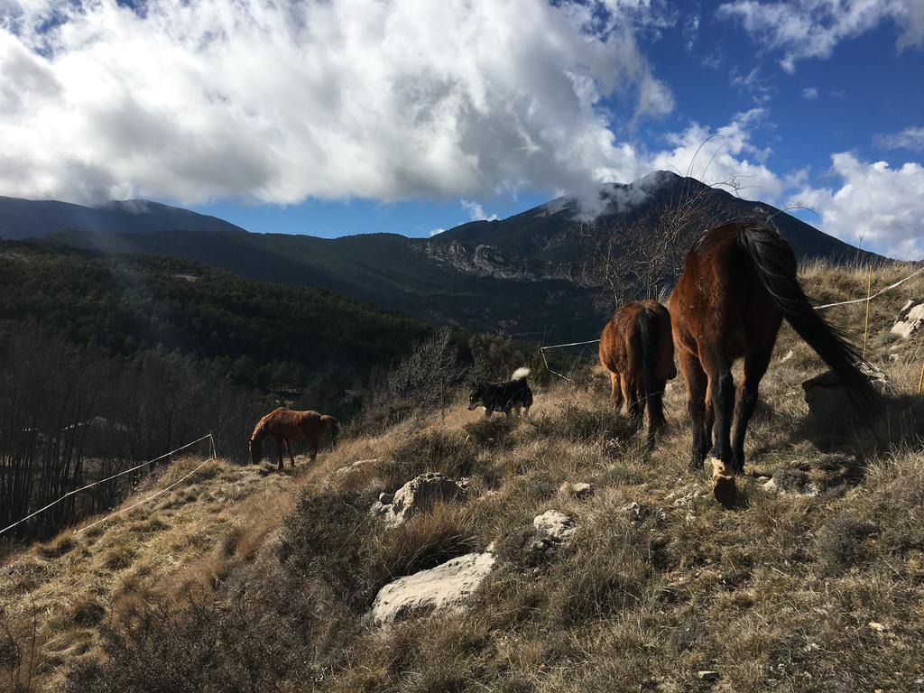 El Jou Nature Sant Corneli Екстериор снимка