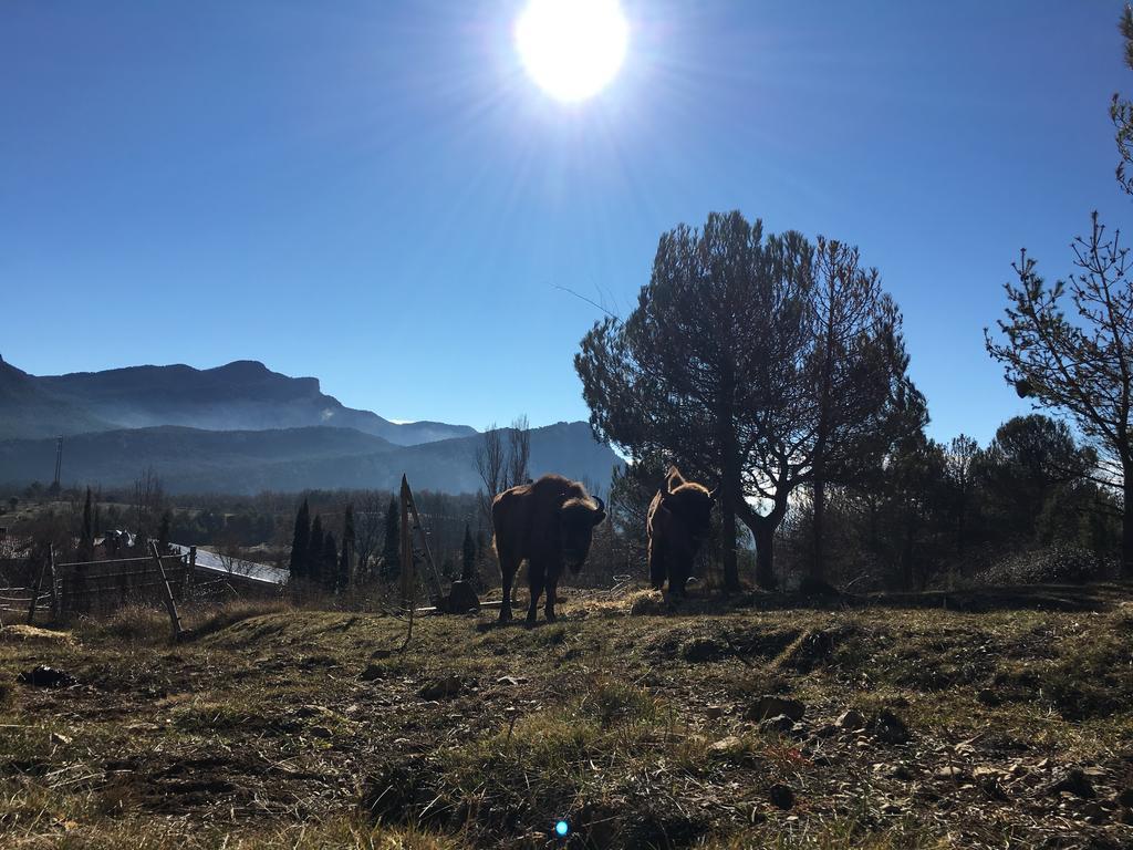 El Jou Nature Sant Corneli Екстериор снимка