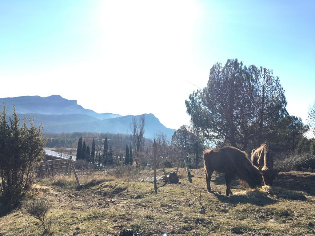 El Jou Nature Sant Corneli Екстериор снимка